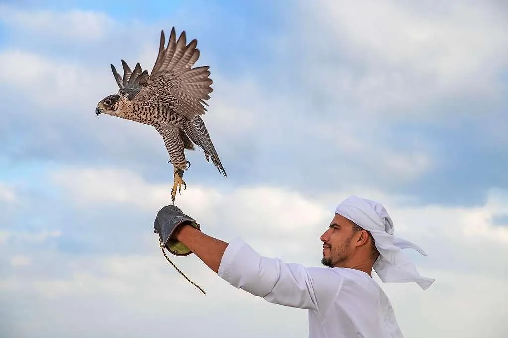 Hotel Anantara Al Yamm Abu Zabi